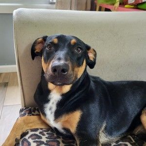 Meet your Posher, Marissa